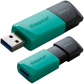 foto di Kingston DTXM/256GB