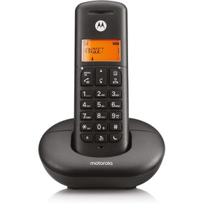foto di Motorola MOT-E201B