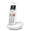 foto di Gigaset SIE-E290W