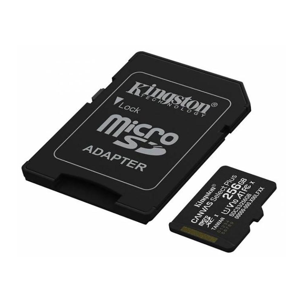 foto di Kingston SDCS3/256GB