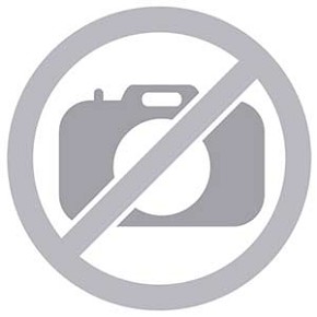 foto di Apple iPhone 17