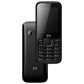 foto di Zte F320